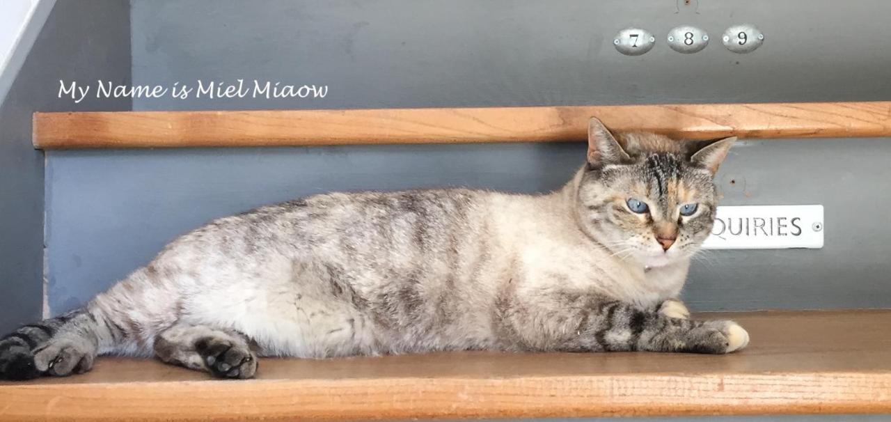 מלון Fayssac Maison Murier מראה חיצוני תמונה
